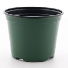 6 Inch Round Pot - Click Image to Close